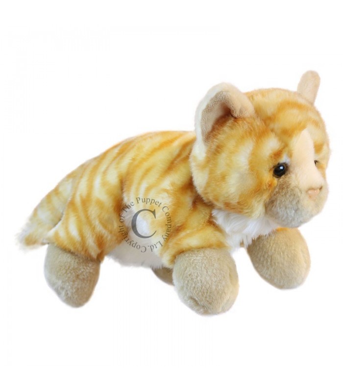 GATO COM CORPO DE 35 cm