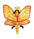 BORBOLETA