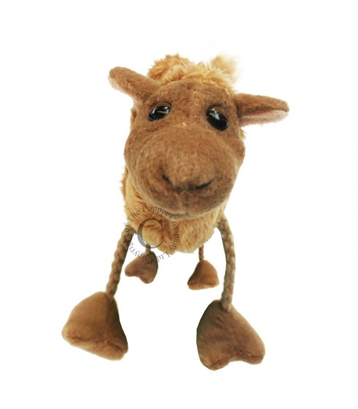 CAMEL