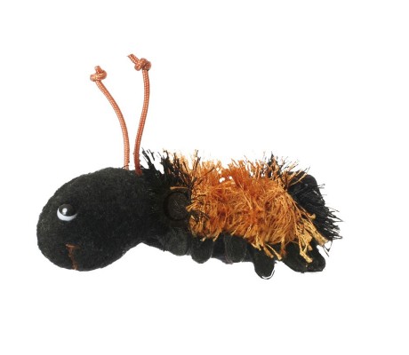 ORUGA