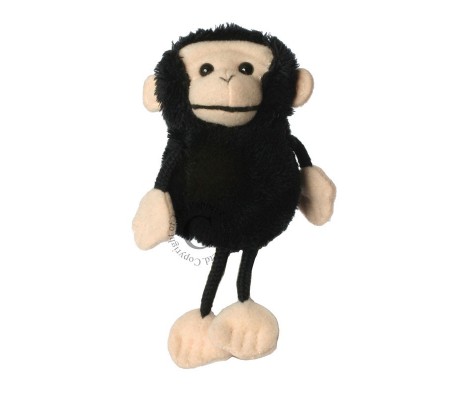 CHIMP