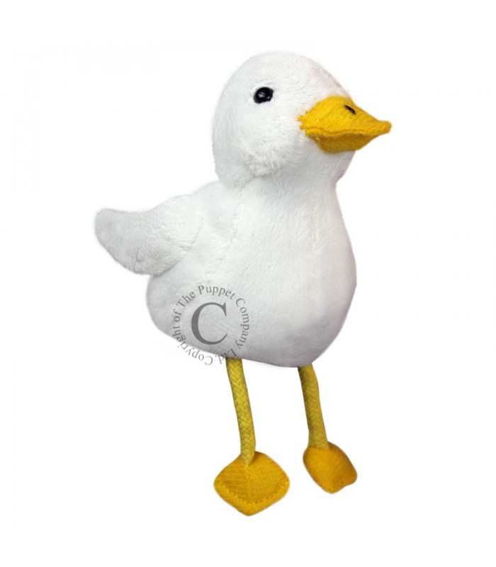 PATO BRANCO