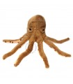 OCTOPUS 12CM