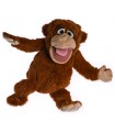 AFFE 43 cm
