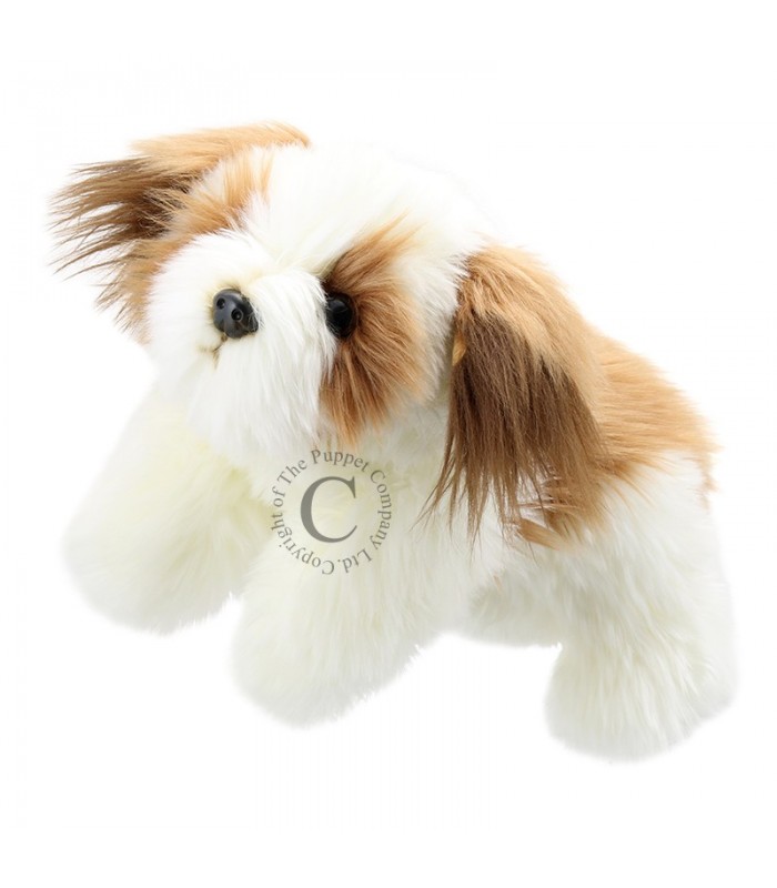 CÃO CASTANHO E BRANCO – CORPO INTEIRO