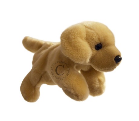 LABRADOR AMARELO - CORPO INTEIRO