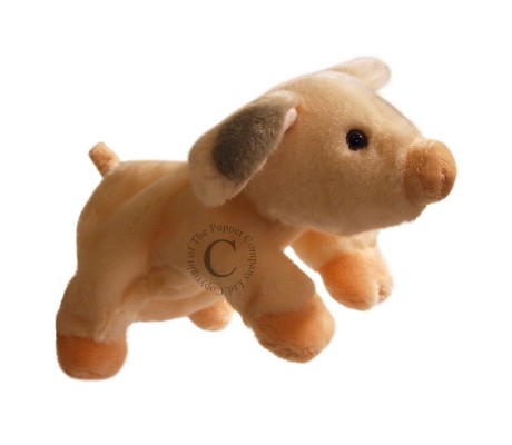 PORCO - CORPO INTEIRO