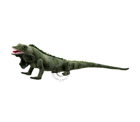 IGUANA - CRIATURAS LARGAS