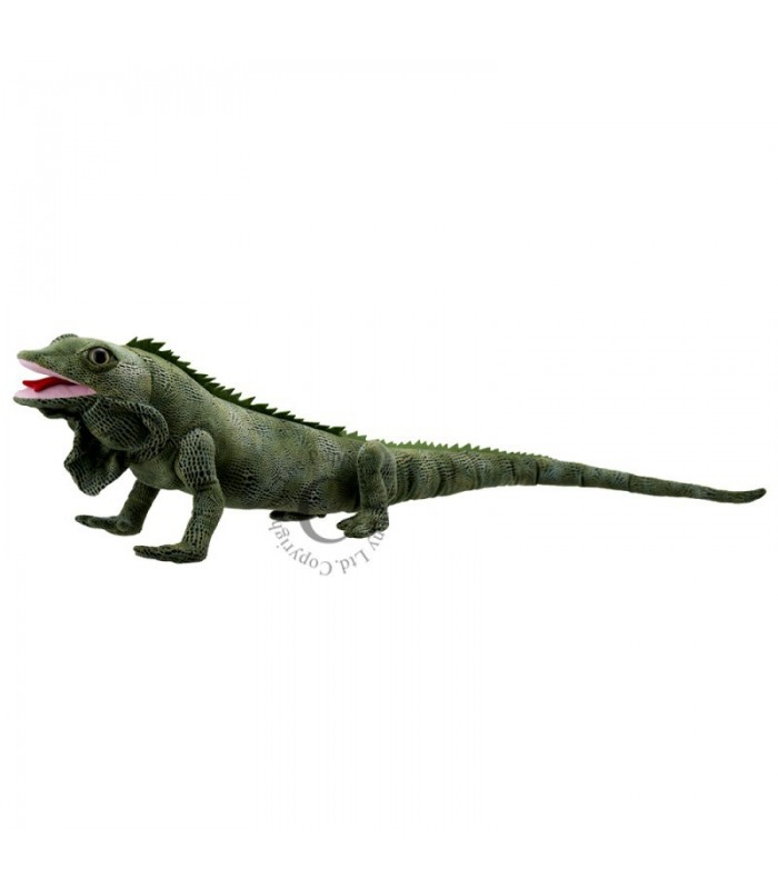 IGUANA - CRIATURAS LARGAS