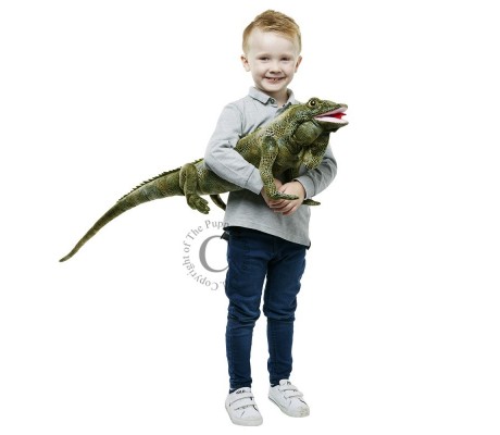 IGUANA - CRIATURAS LARGAS