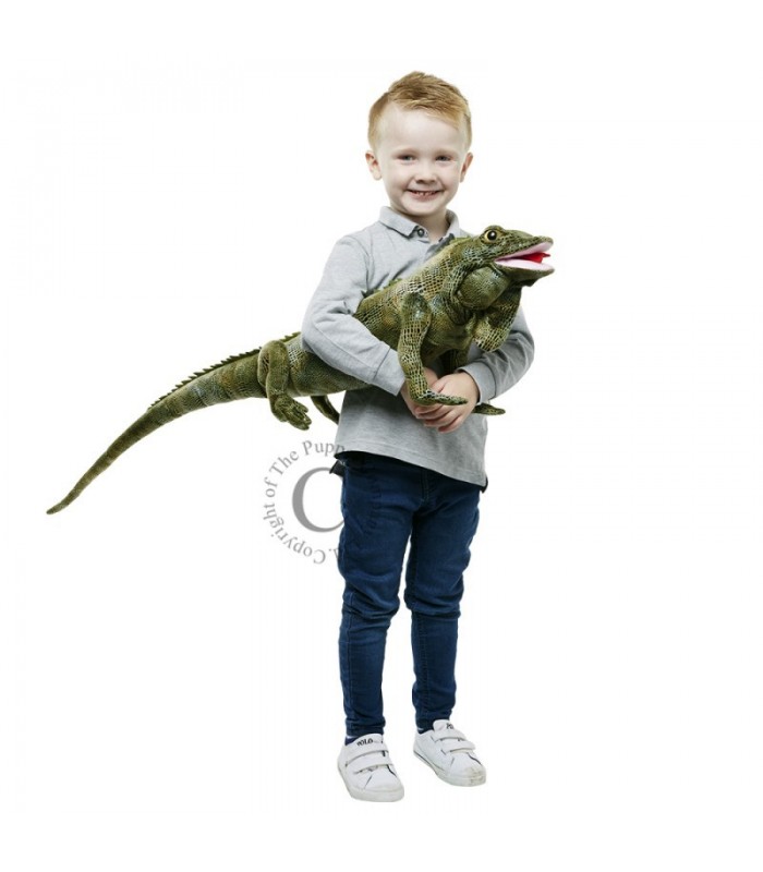 IGUANA - CRIATURAS LARGAS