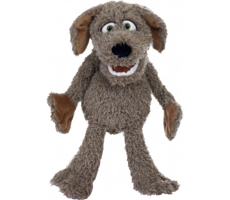 Locke, o cãozinho de 45 cm