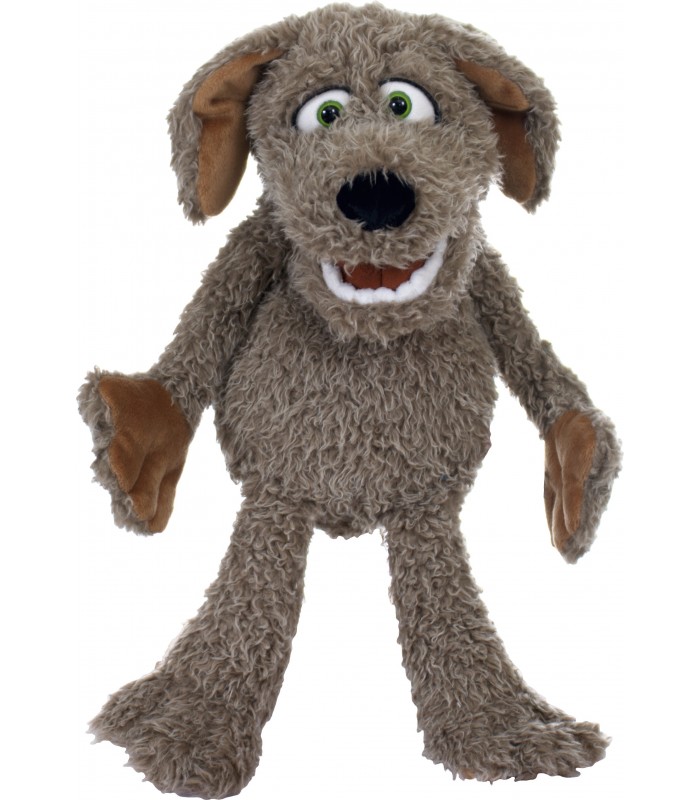 Locke, o cãozinho de 45 cm
