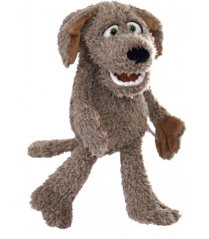 Locke, o cãozinho de 45 cm