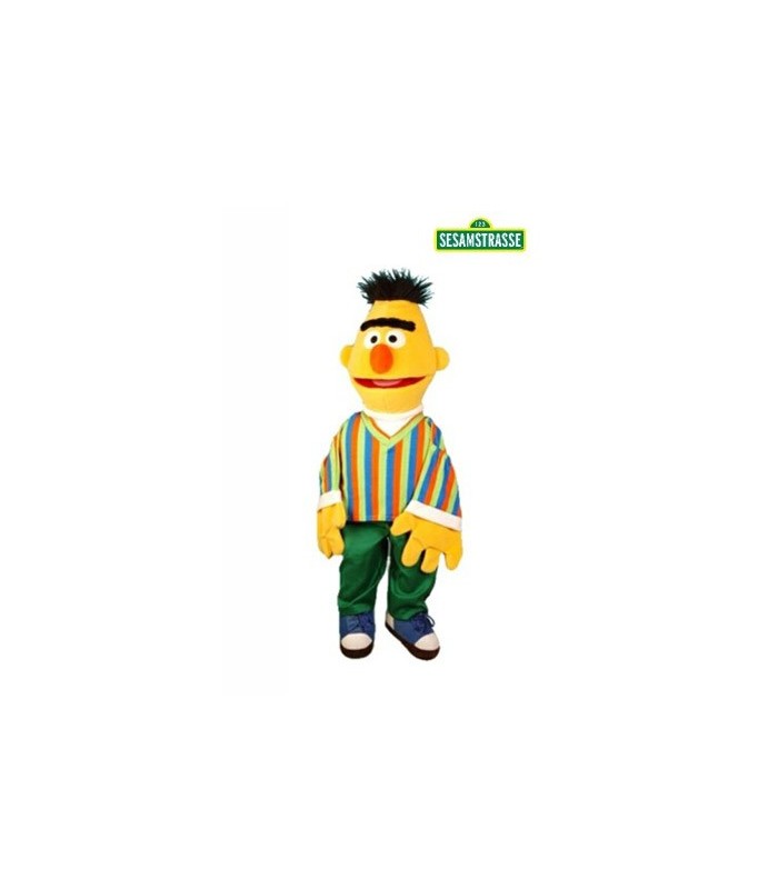 BERT 65 cm