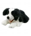 PERRO COLLIE 50cm