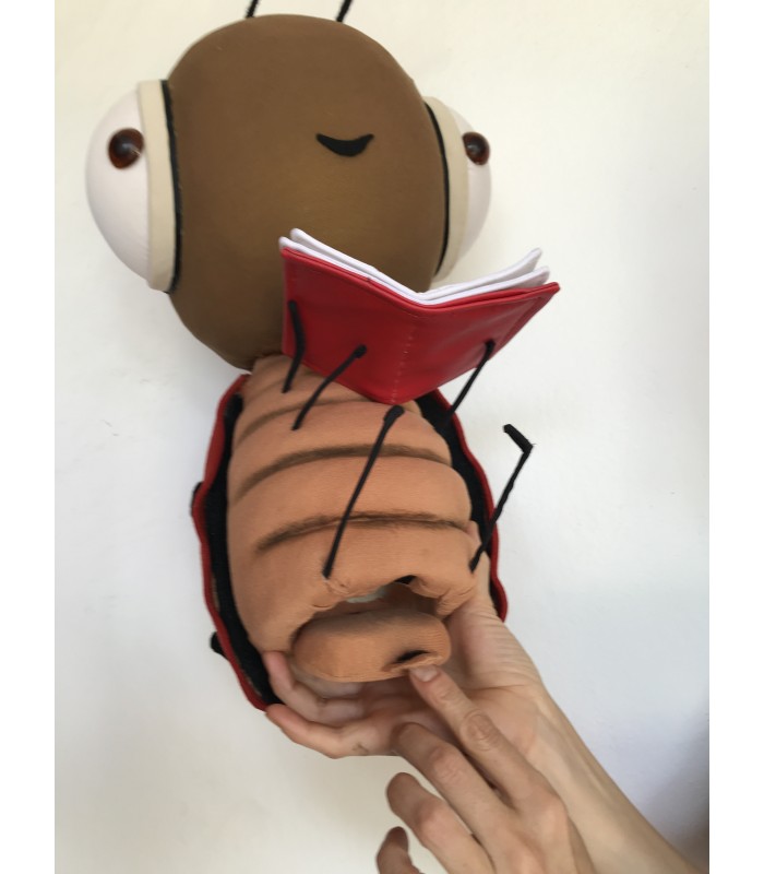 COCCINELLA DIDATTICA