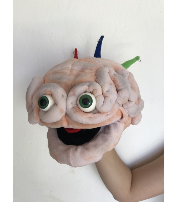 CÉREBRO EMOCIONAL