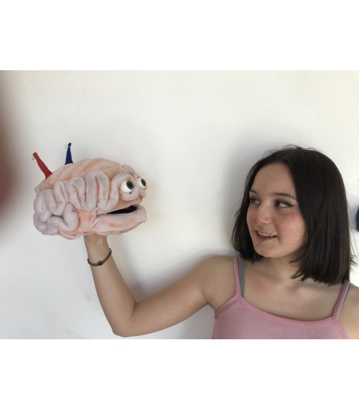 CÉREBRO EMOCIONAL