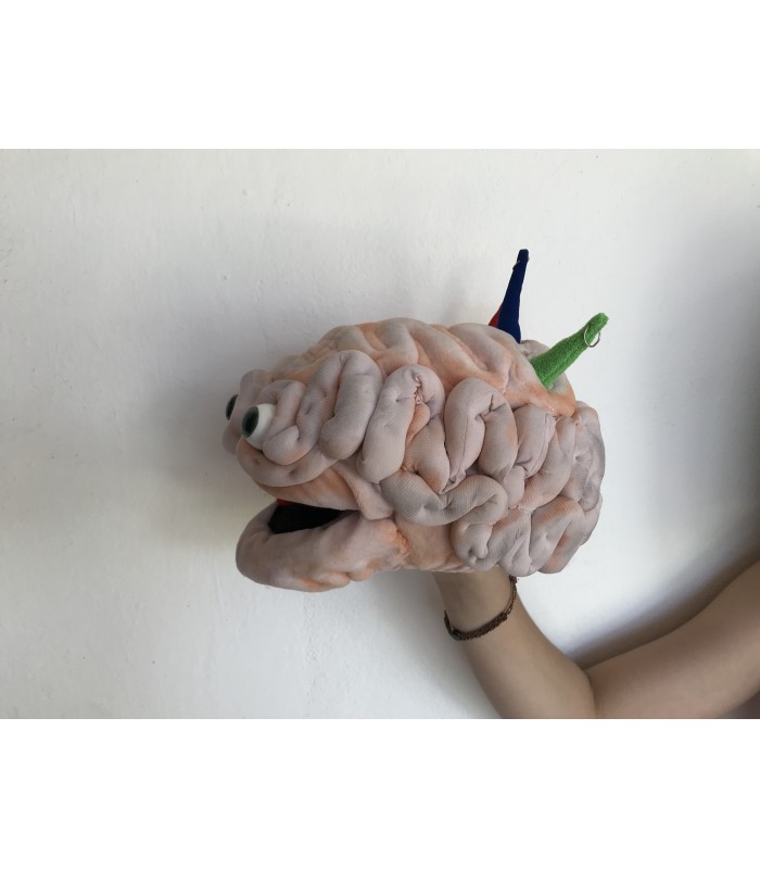 CÉREBRO EMOCIONAL