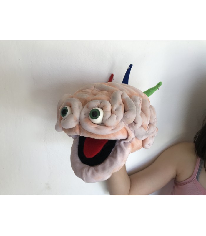 CÉREBRO EMOCIONAL