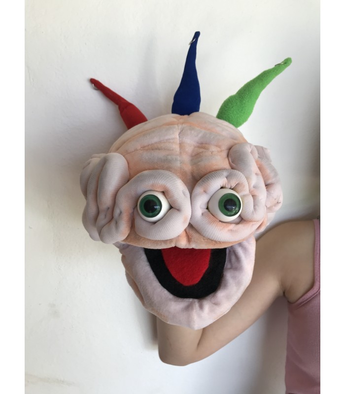 CÉREBRO EMOCIONAL