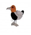 POCHARD 12CM