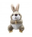 COELHO CINZENTO 12 CM