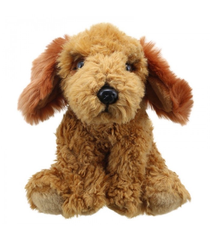COCKAPOO DOURADO