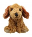 COCKAPOO DOURADO
