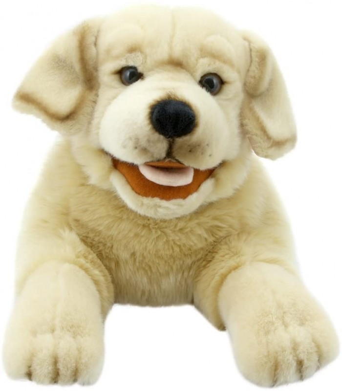LABRADOR DOG 50cm