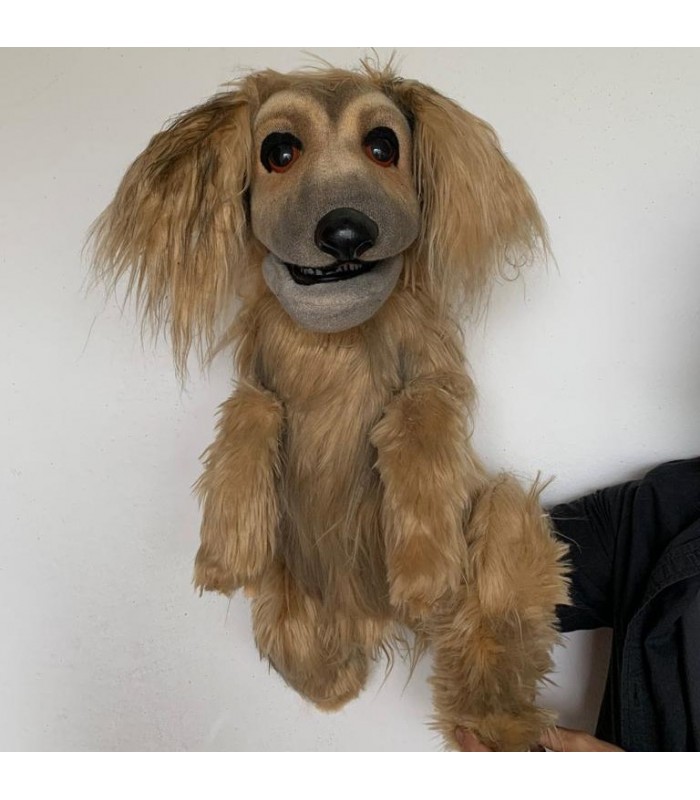 CANE PERSONALIZZATO