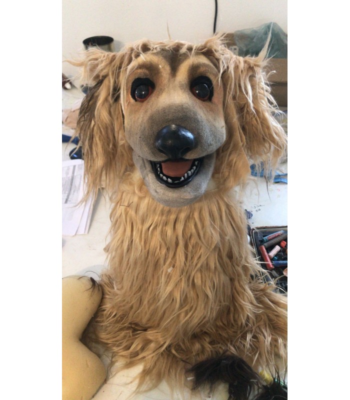 CANE PERSONALIZZATO