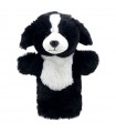 BORDER COLLIE 25 cm