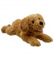 Caniche 45cm