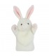 COELHO BRANCO 25 cm