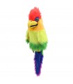 RAINBOW BIRD