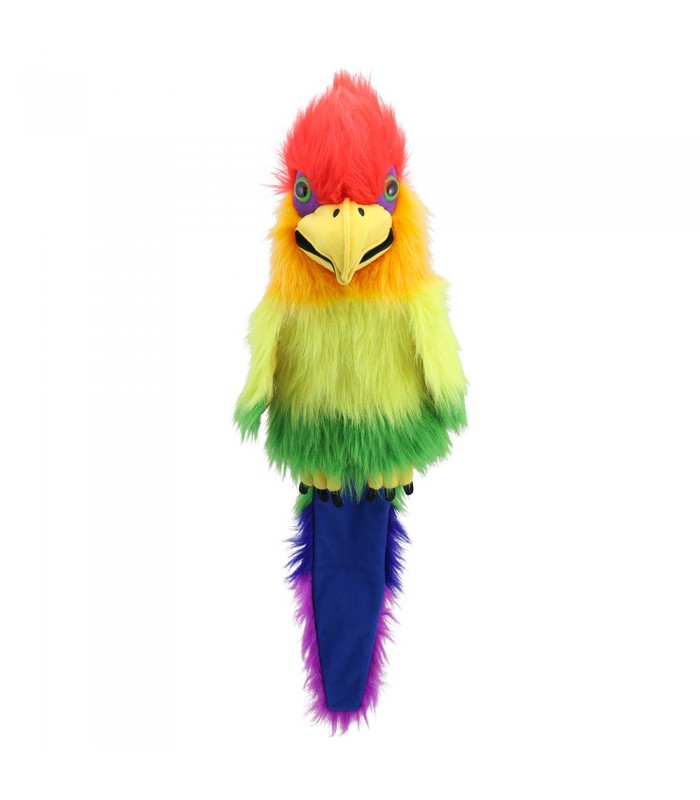 RAINBOW BIRD