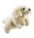 Golden Retriever 33 cm