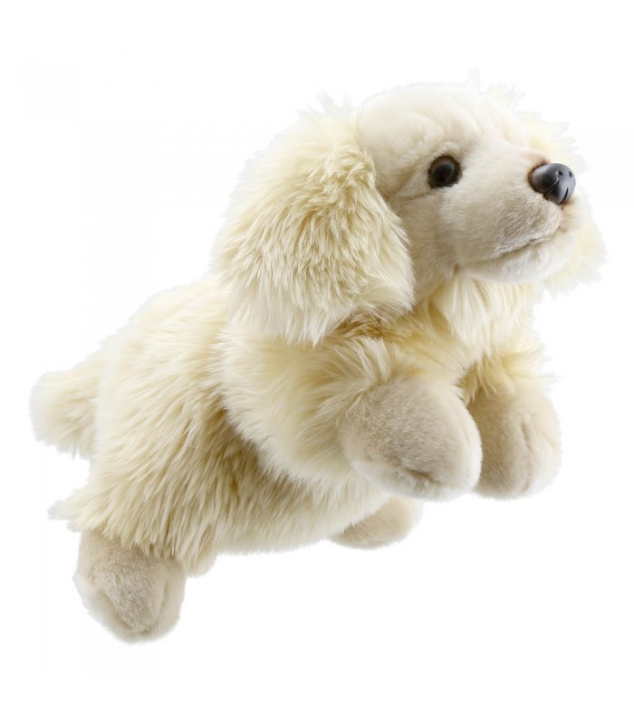 Golden Retriever 33 cm