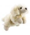 Golden Retriever 33 cm