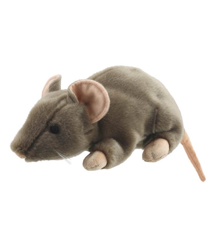RAT 33 cm