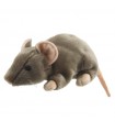 RAT 33cm