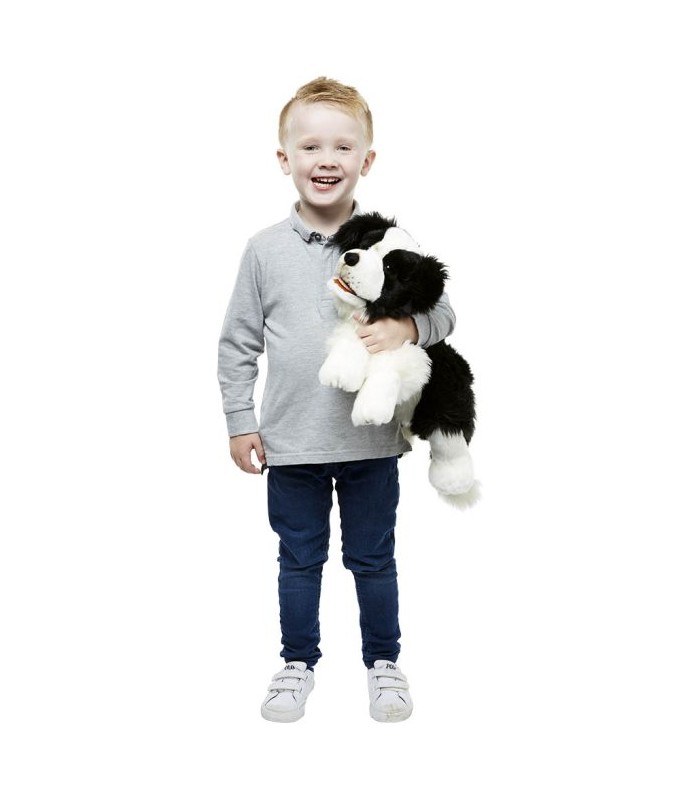 CÃO DA RAÇA COLLIE 50 cm