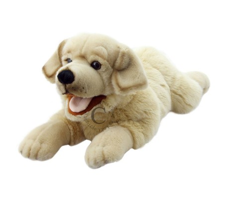 LABRADOR 44cm 