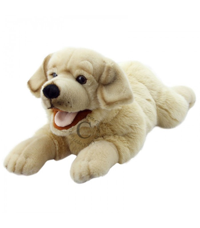 LABRADOR 44cm 