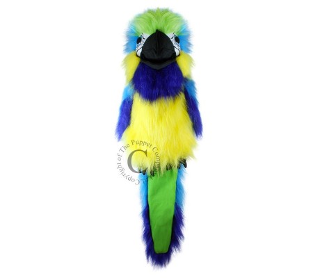 Arara azul-dourada