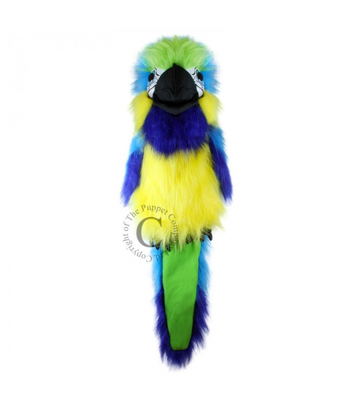 Arara azul-dourada