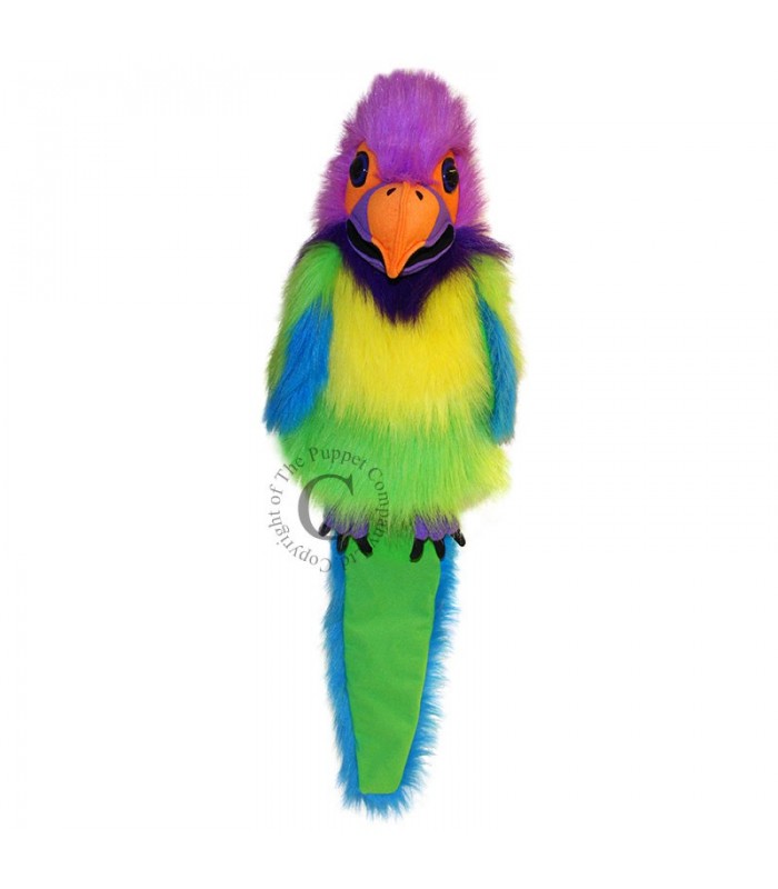 Periquito