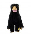 CHIMP MEDIUM 60cm